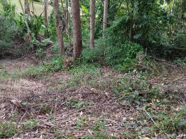 #10539 - Terreno para Venda em Santa Branca - SP - 1