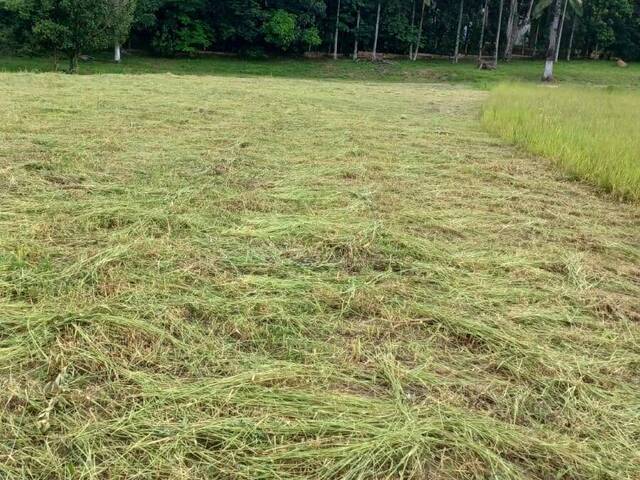 Terreno para Locação em Jacareí - 2