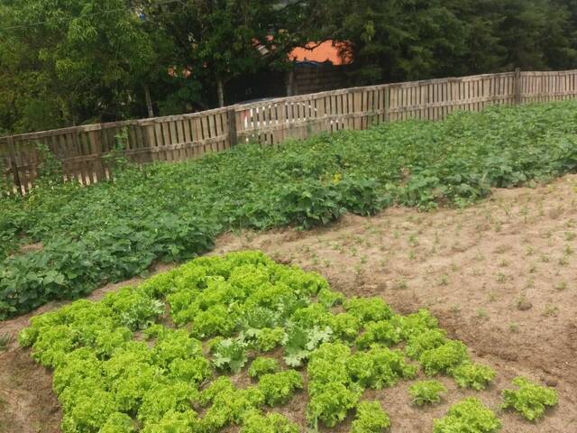 Terreno para Venda em Jacareí - 2
