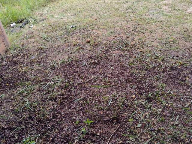 #13466 - Terreno para Venda em Jacareí - SP - 2