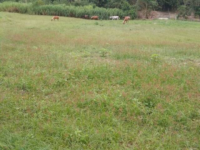 #13500 - Chácara para Venda em Santa Branca - SP - 2