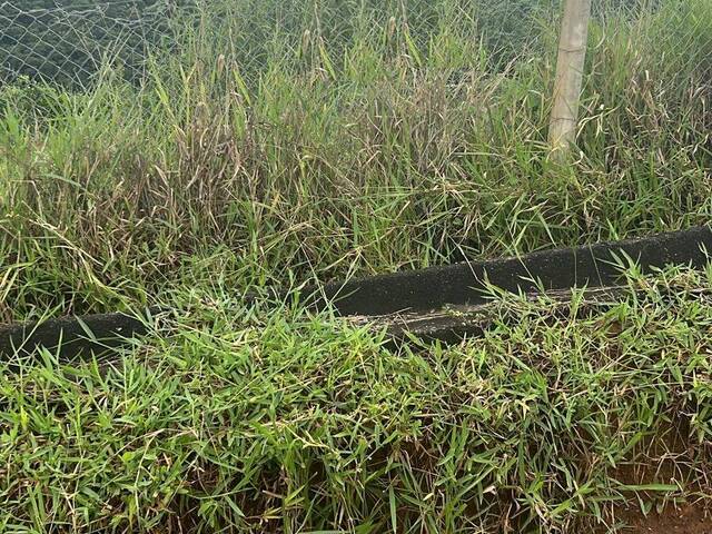 #13603 - Terreno para Venda em Igaratá - SP - 2