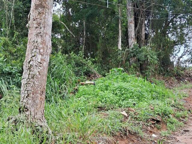 #13568 - Terreno para Venda em Santa Branca - SP - 3