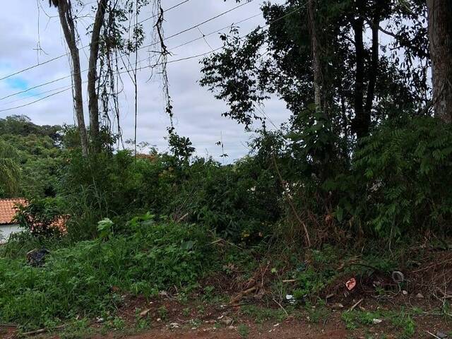 Terreno para Venda em Santa Branca - 4
