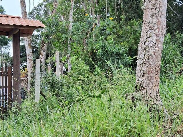 #13568 - Terreno para Venda em Santa Branca - SP - 1