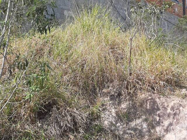 #13653 - Terreno para Venda em Jacareí - SP - 3