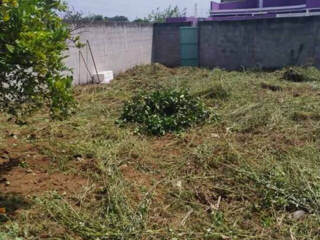 #14169 - Terreno para Venda em Jacareí - SP - 3