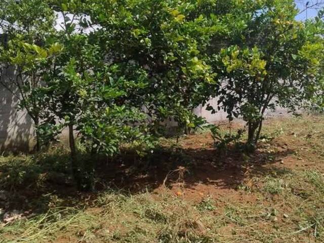 Terreno para Venda em Jacareí - 4