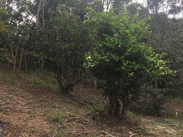 #13644 - Chácara para Venda em Guararema - SP - 3