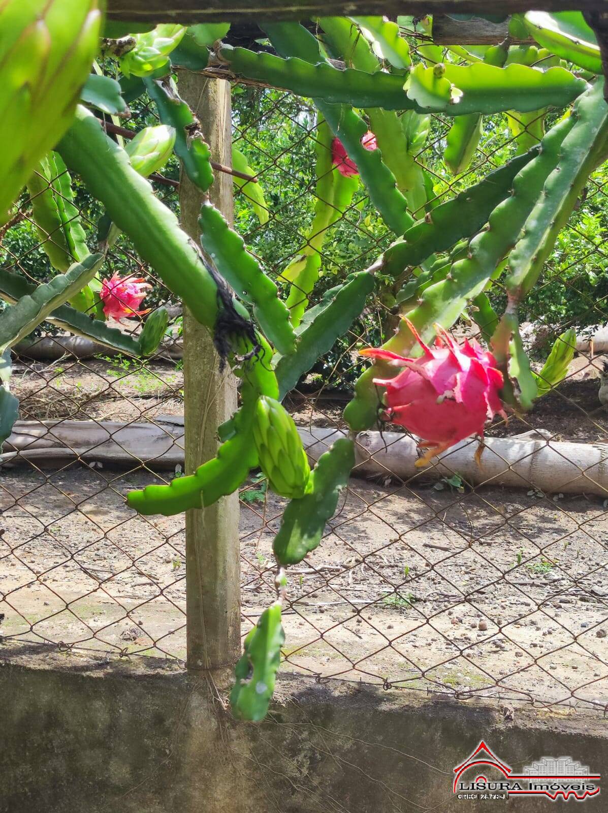 Chácara à venda com 3 quartos, 100m² - Foto 58