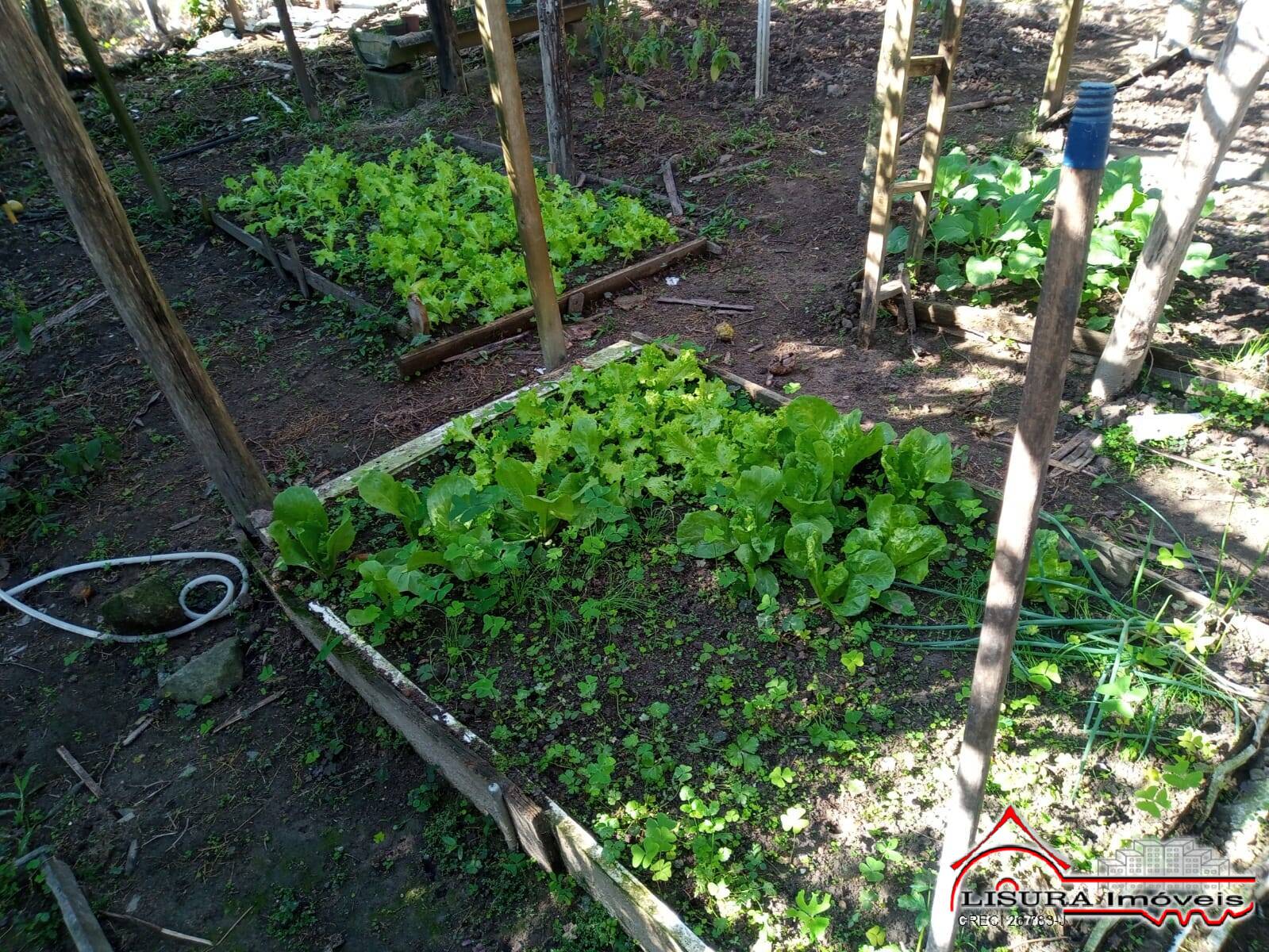 Chácara à venda com 3 quartos, 126m² - Foto 23