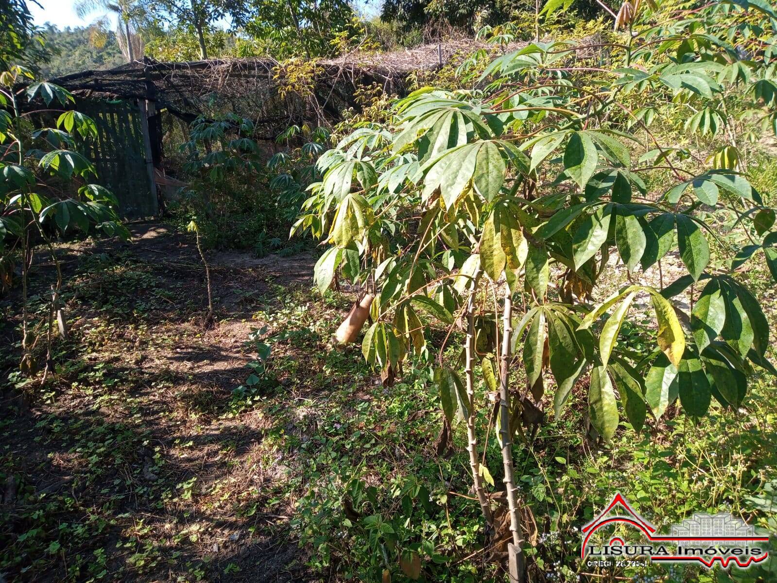 Chácara à venda com 3 quartos, 126m² - Foto 26