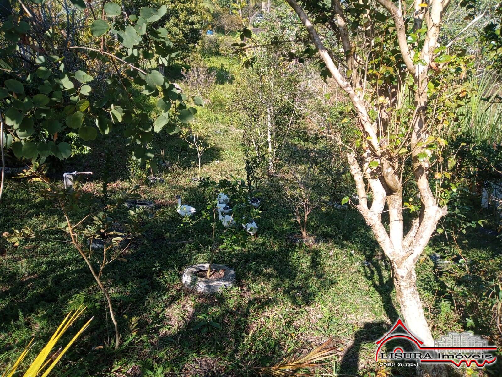 Chácara à venda com 3 quartos, 126m² - Foto 37