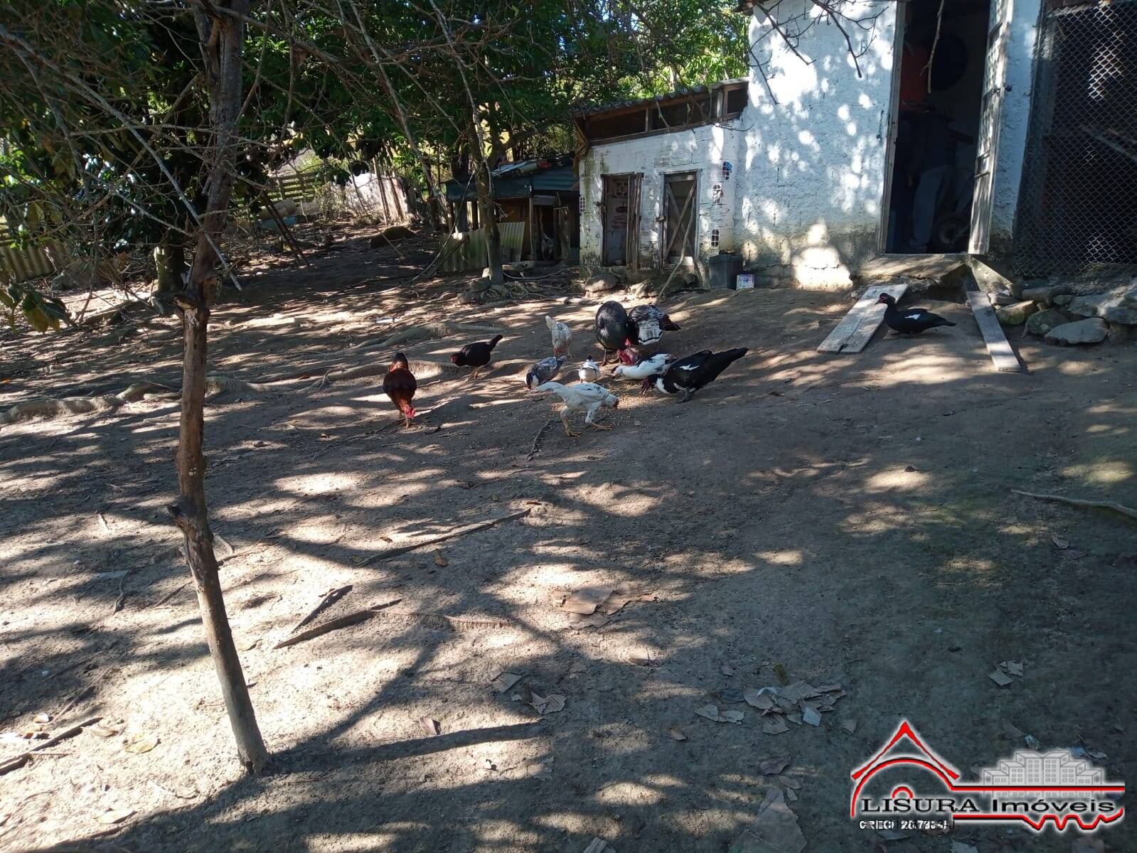 Chácara à venda com 3 quartos, 126m² - Foto 40