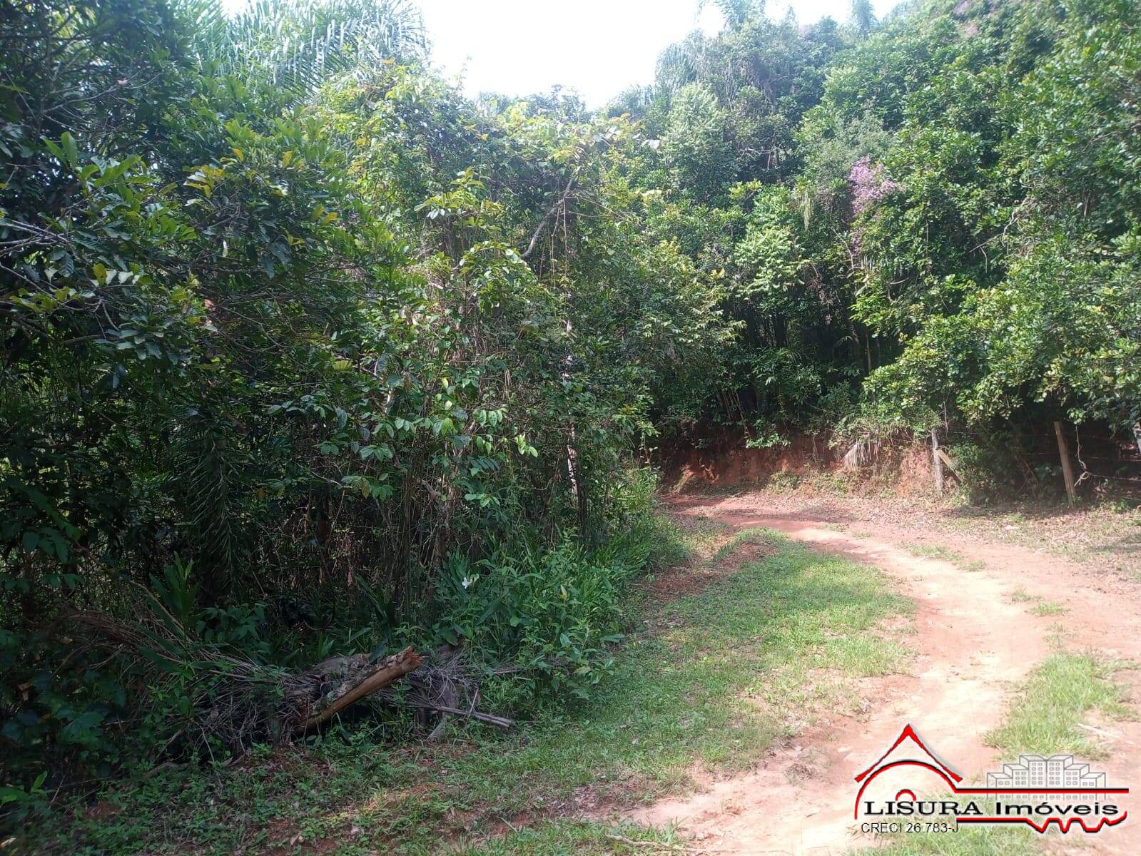 Sítio à venda com 3 quartos, 300m² - Foto 15