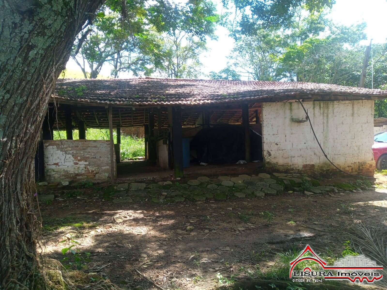 Sítio à venda com 3 quartos, 300m² - Foto 6