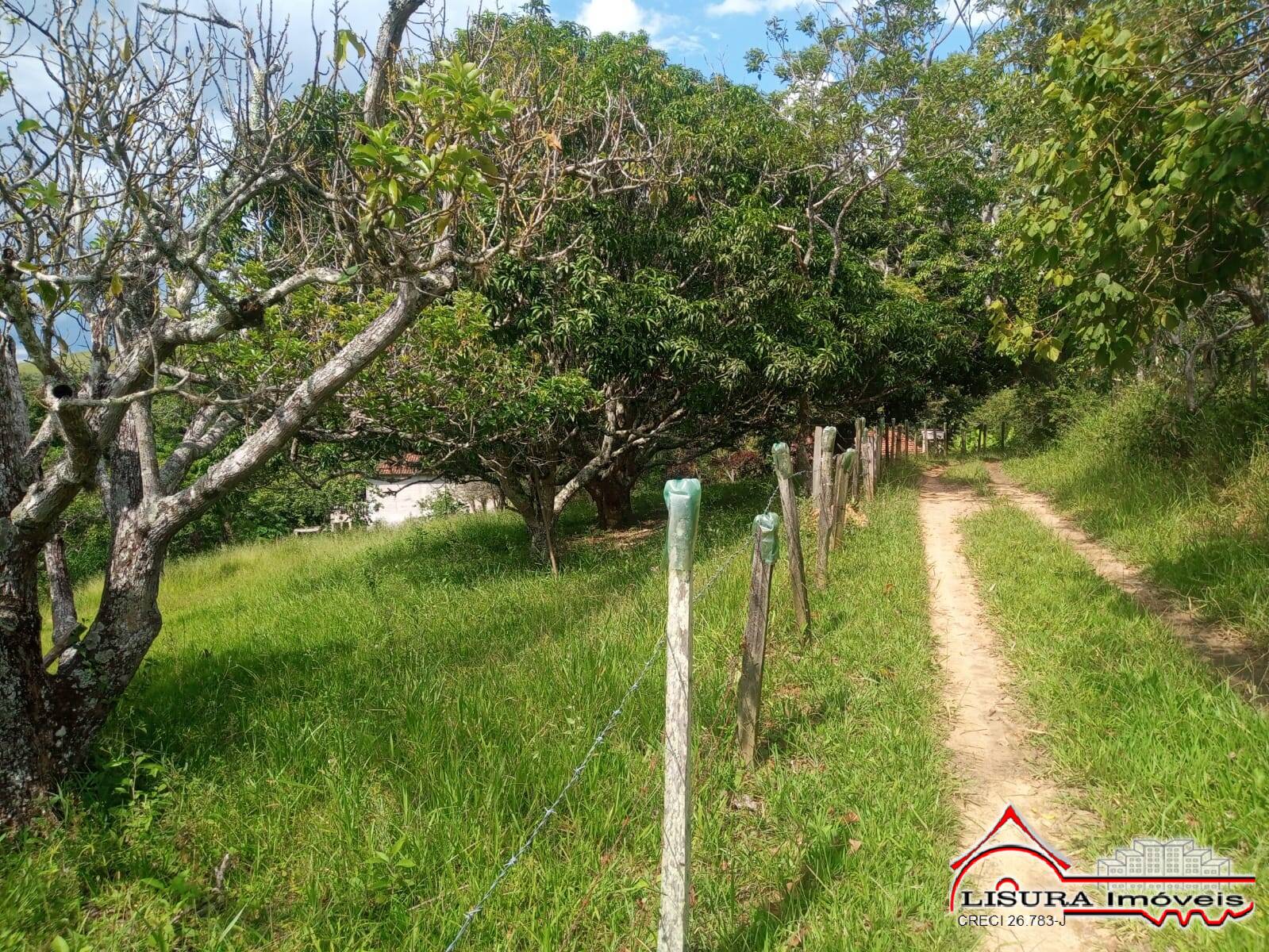 Sítio à venda com 3 quartos, 300m² - Foto 16
