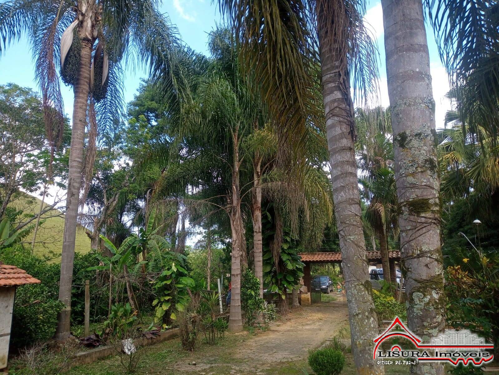Sítio à venda com 3 quartos, 300m² - Foto 2
