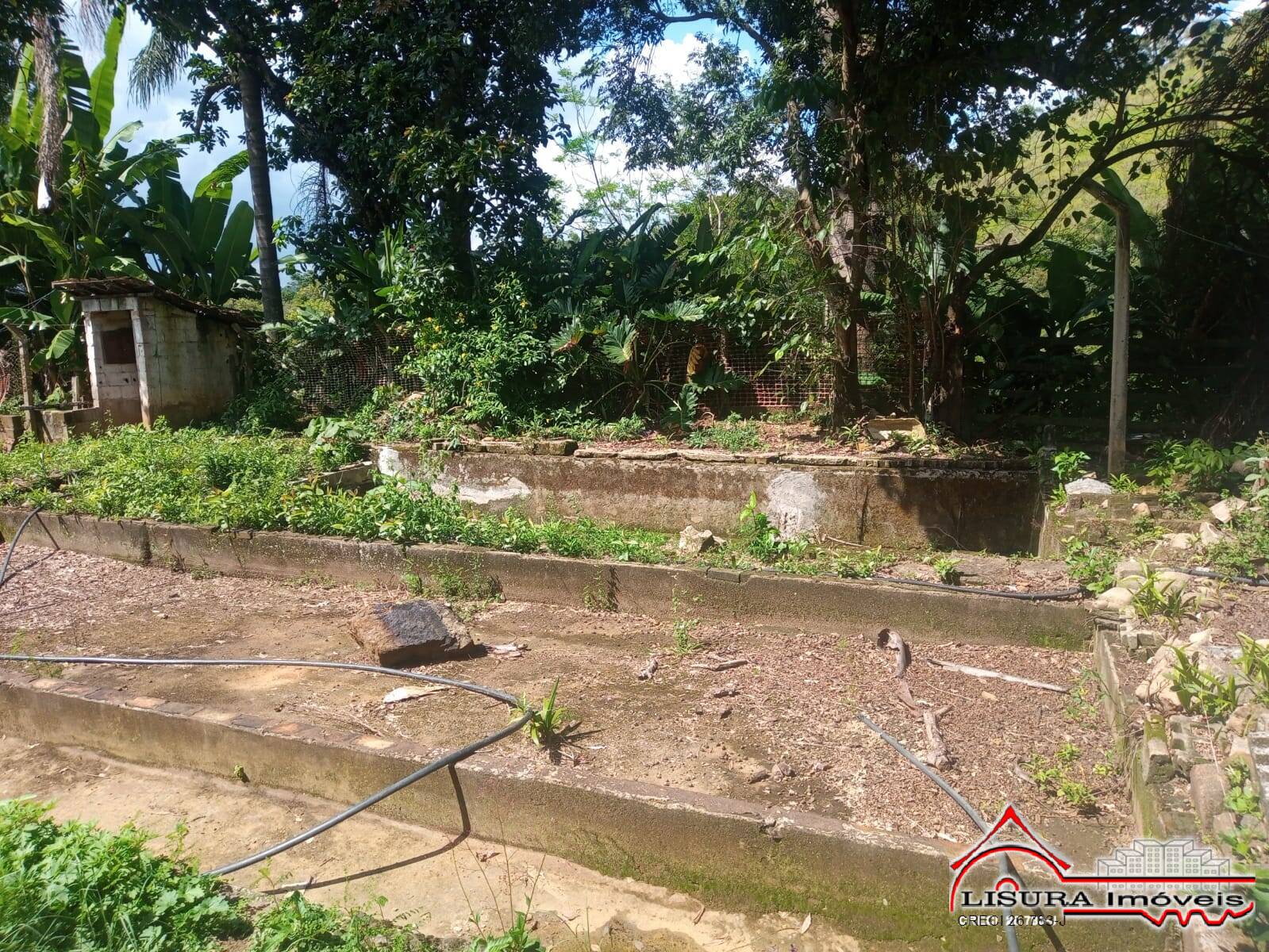 Sítio à venda com 3 quartos, 300m² - Foto 13