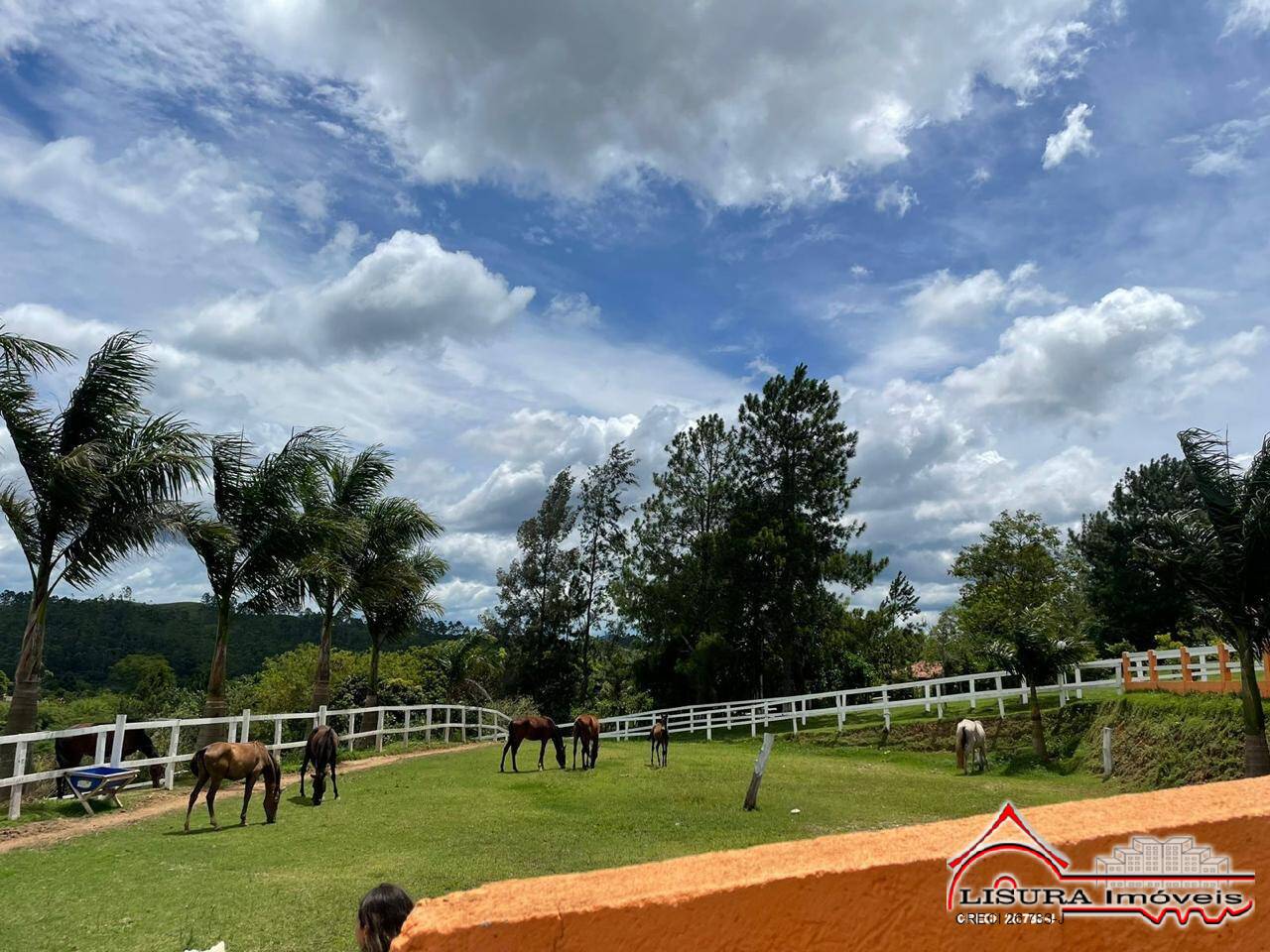 Chácara à venda com 8 quartos, 21000m² - Foto 17