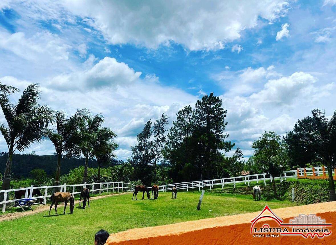 Chácara à venda com 8 quartos, 21000m² - Foto 8