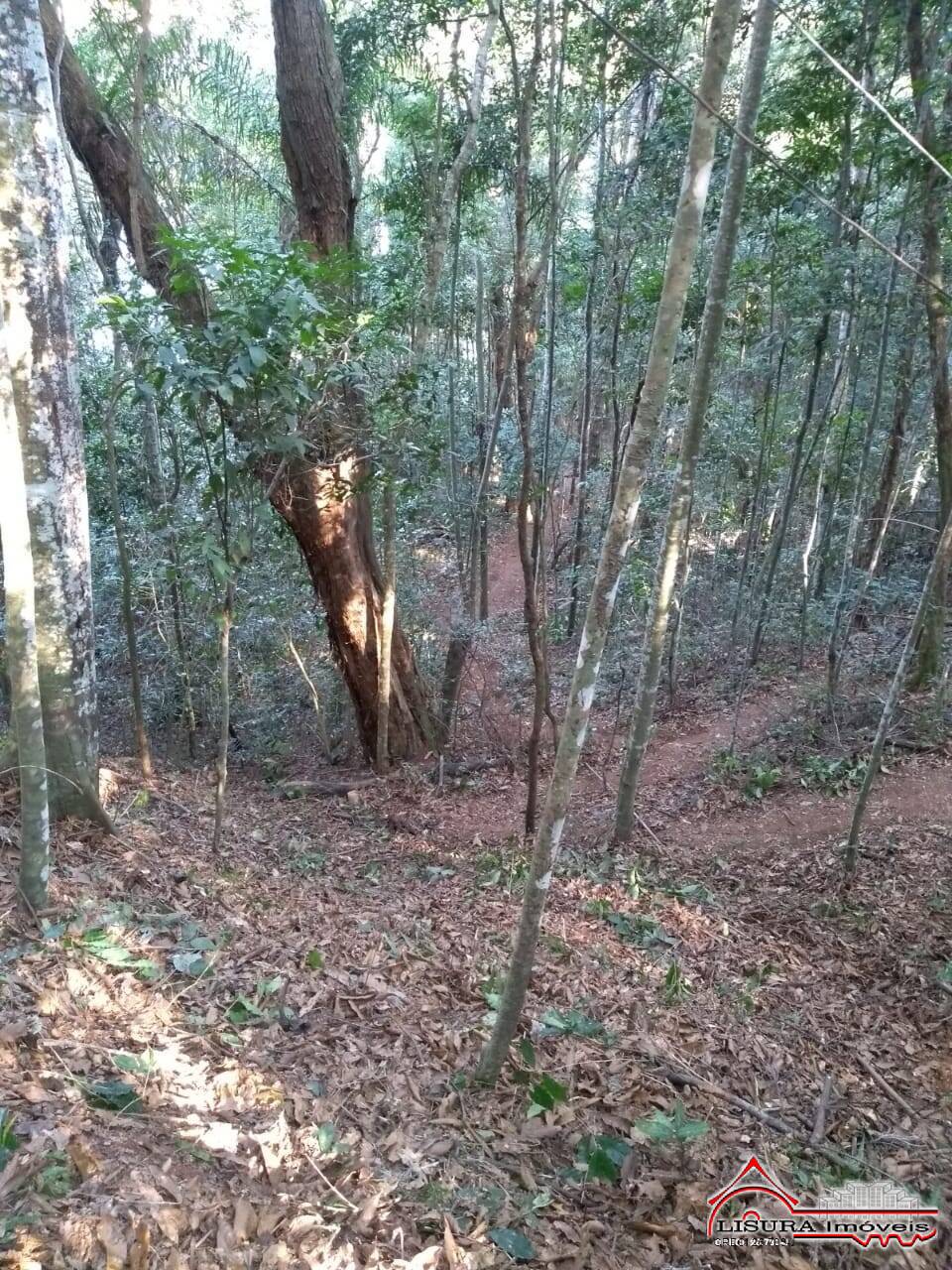 Chácara à venda com 2 quartos, 2250m² - Foto 23