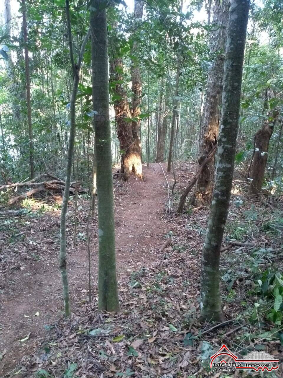 Chácara à venda com 2 quartos, 2250m² - Foto 17