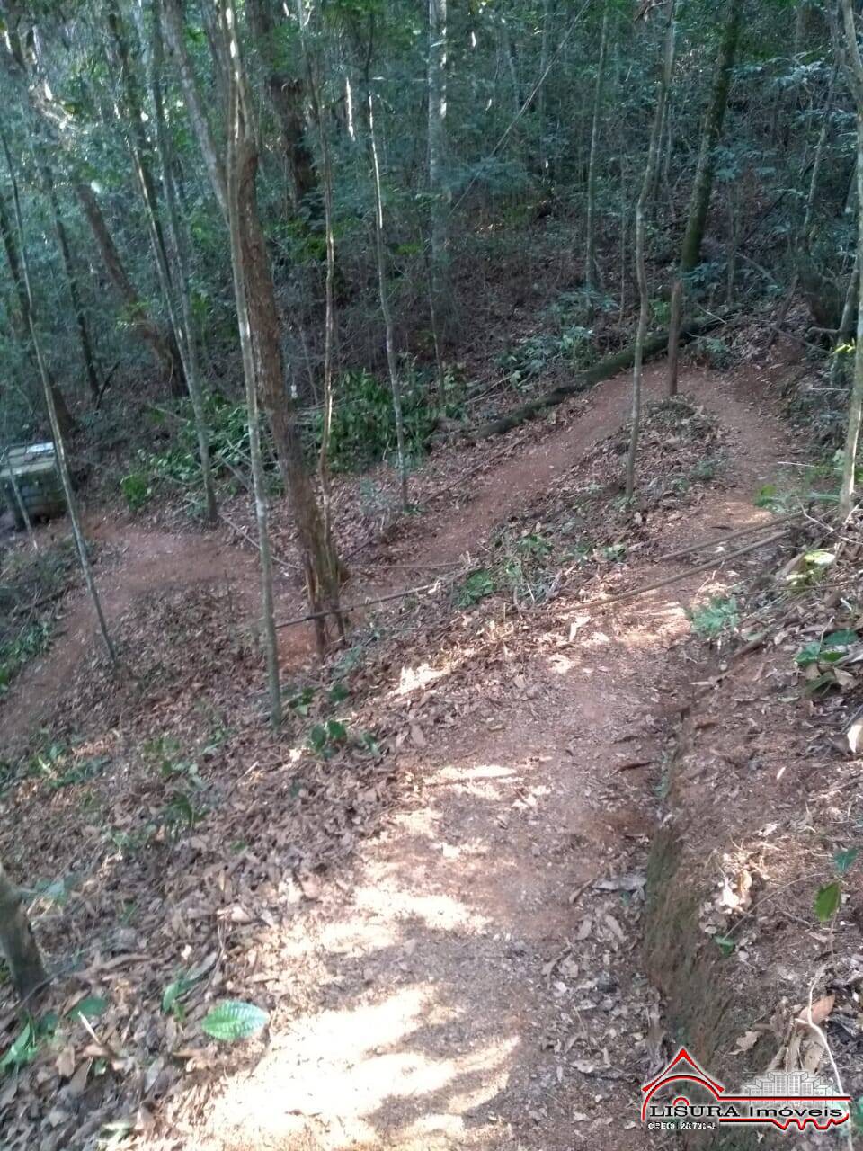 Chácara à venda com 2 quartos, 2250m² - Foto 19