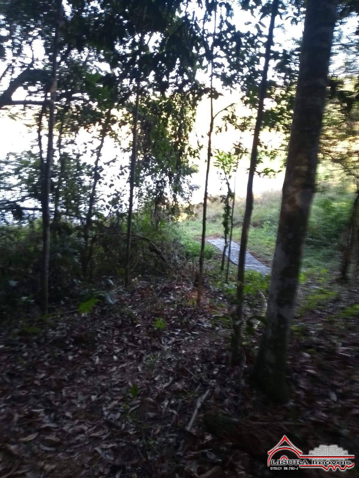 Chácara à venda com 2 quartos, 2250m² - Foto 21