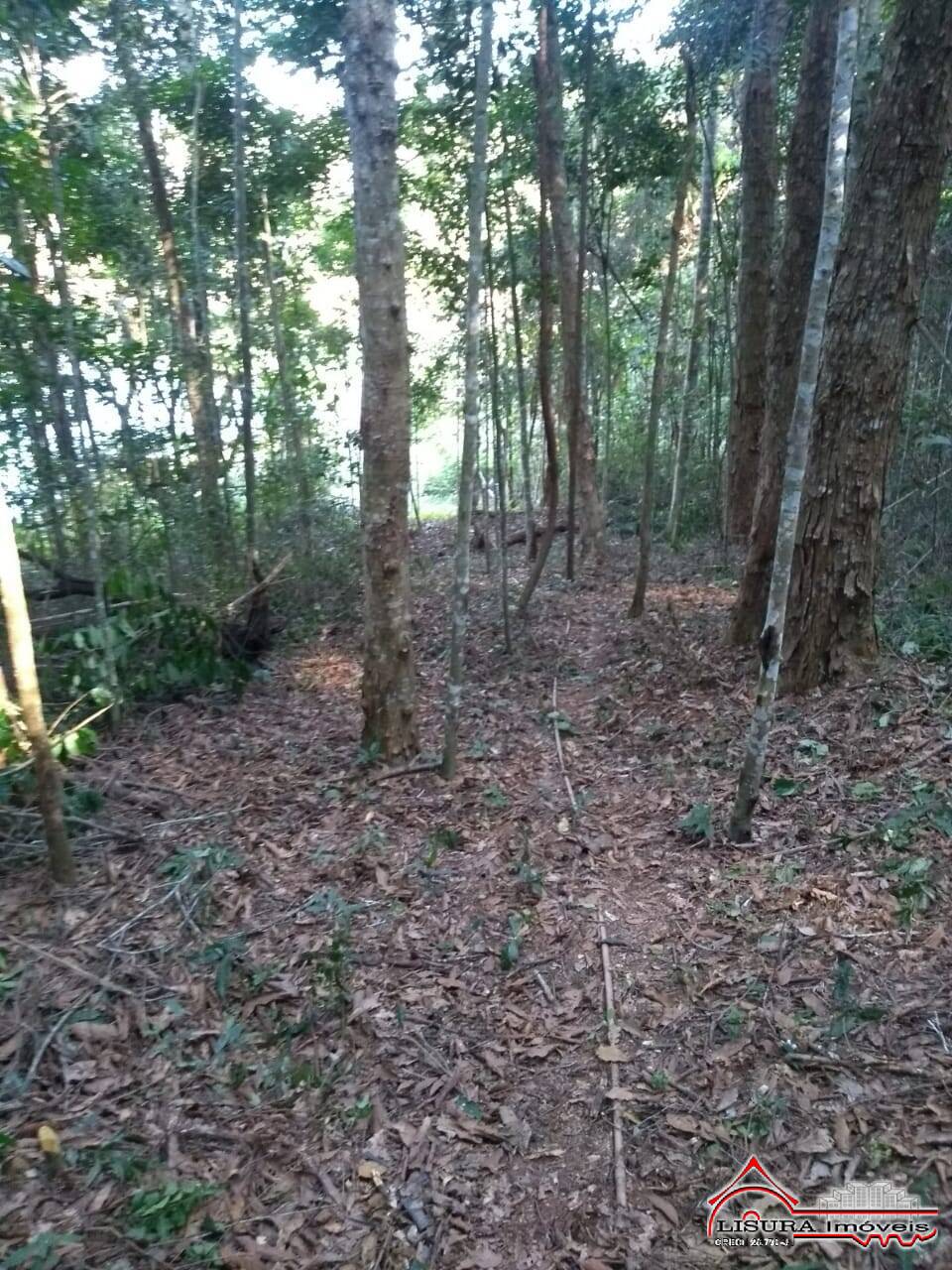 Chácara à venda com 2 quartos, 2250m² - Foto 24
