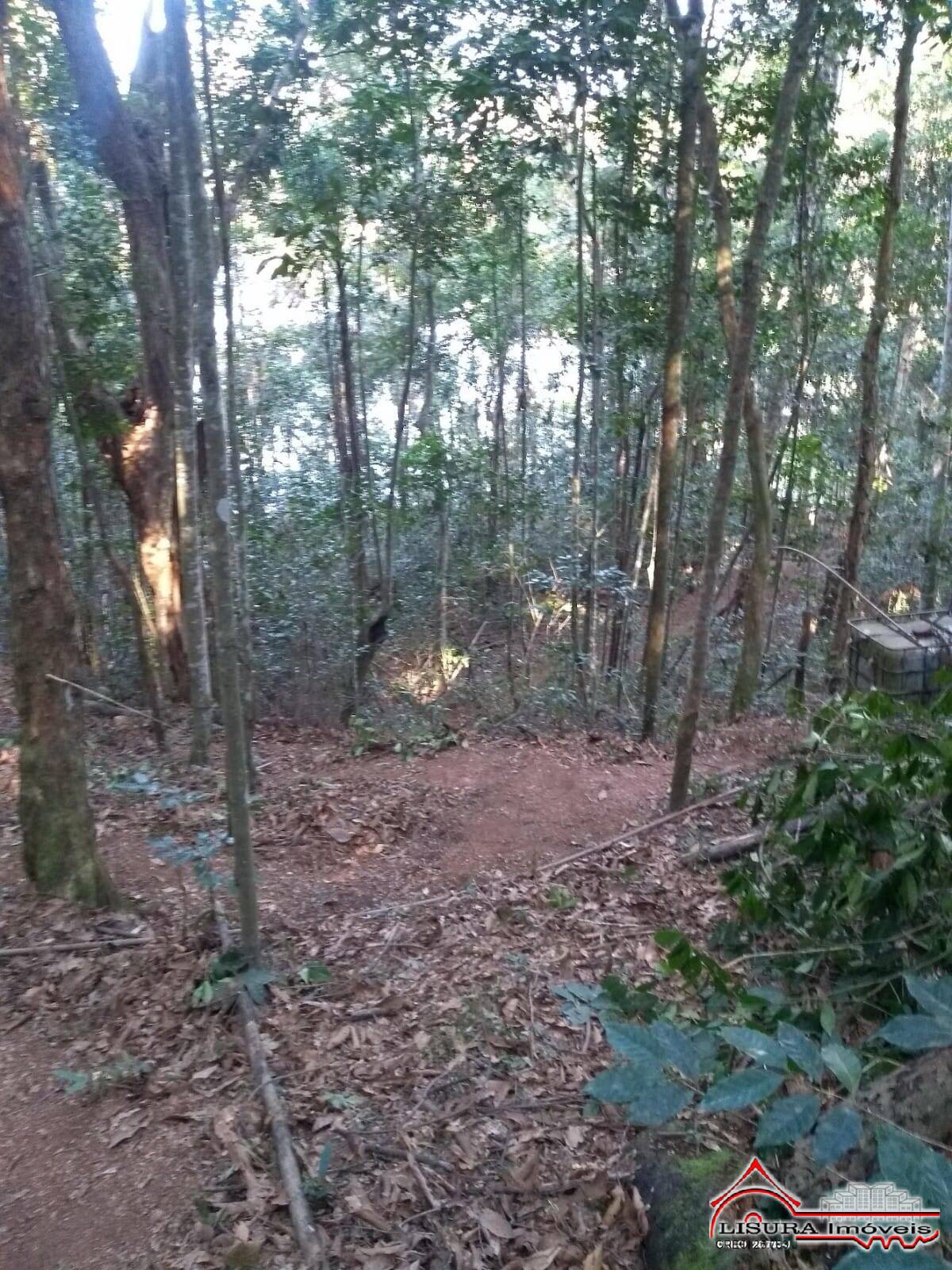 Chácara à venda com 2 quartos, 2250m² - Foto 20