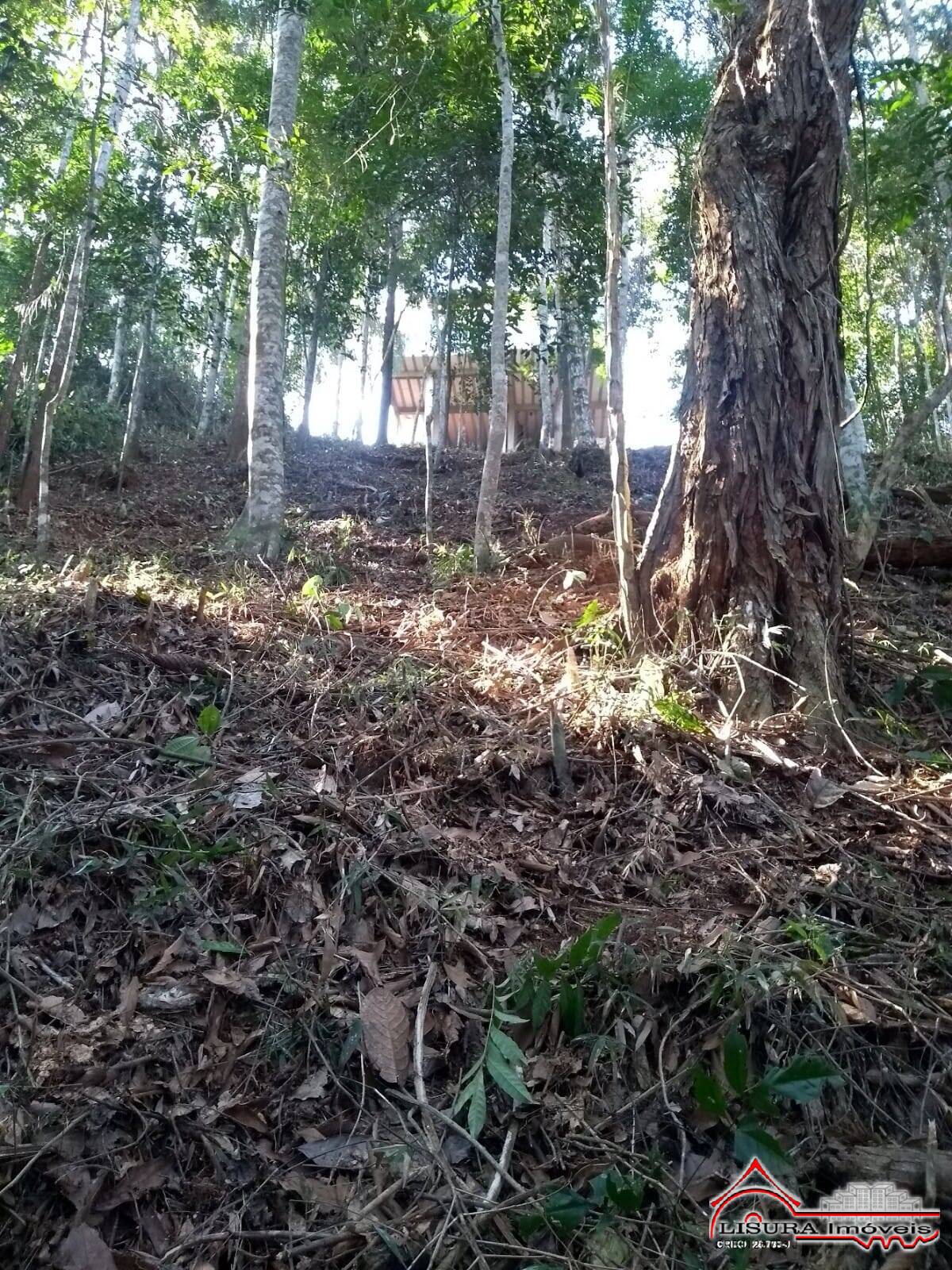 Chácara à venda com 2 quartos, 2250m² - Foto 22