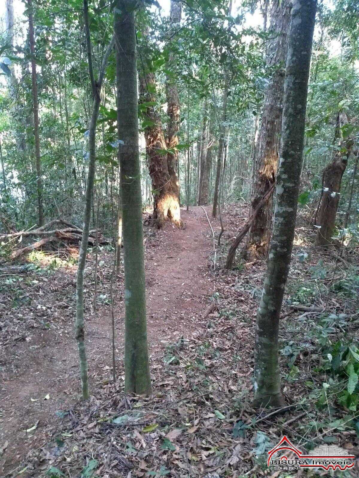Chácara à venda com 2 quartos, 2250m² - Foto 26