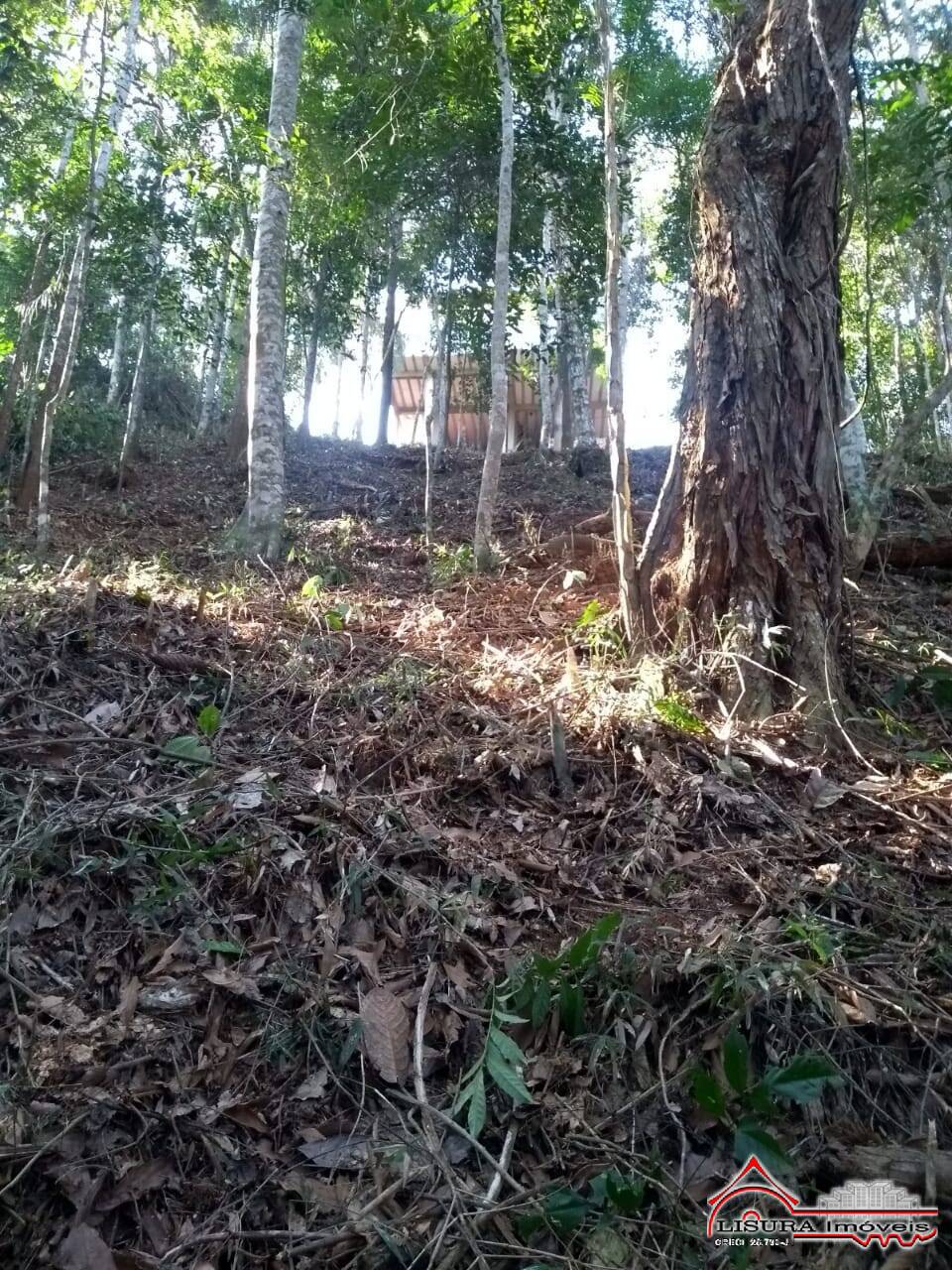 Chácara à venda com 2 quartos, 2250m² - Foto 28