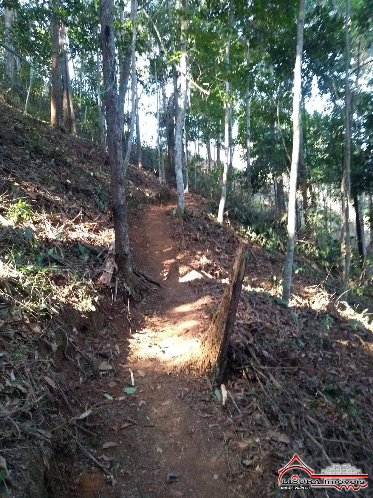 Chácara à venda com 2 quartos, 2250m² - Foto 31