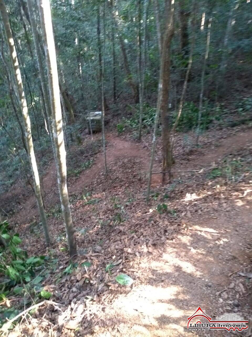 Chácara à venda com 2 quartos, 2250m² - Foto 32