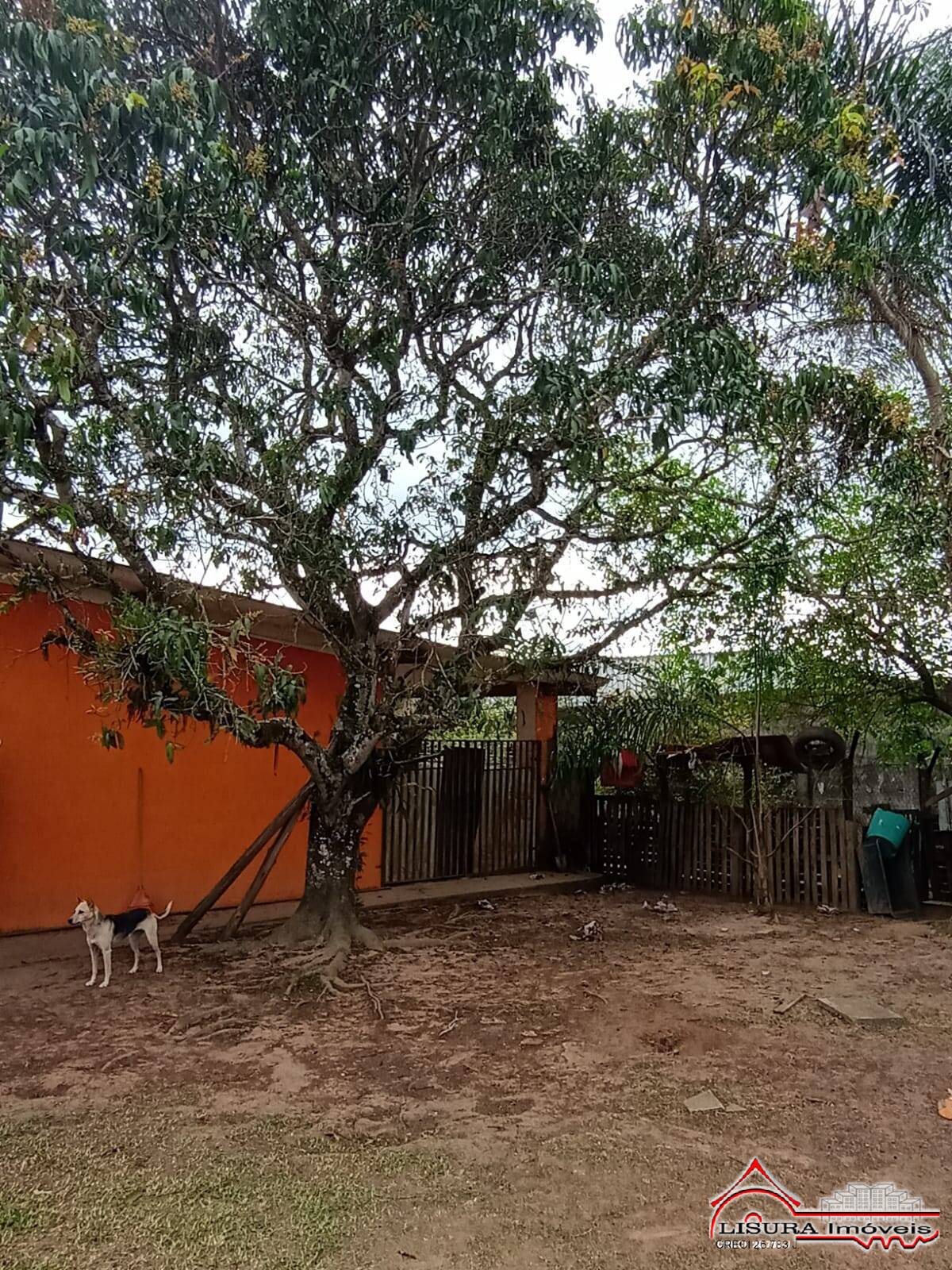 Chácara à venda com 4 quartos, 1000m² - Foto 26