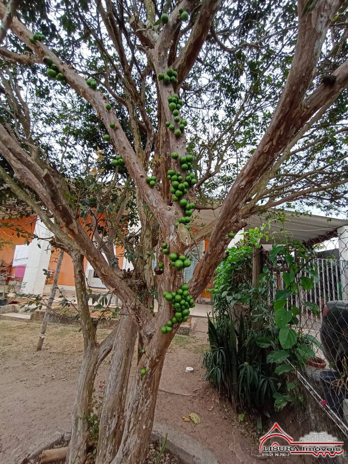 Chácara à venda com 4 quartos, 1000m² - Foto 39