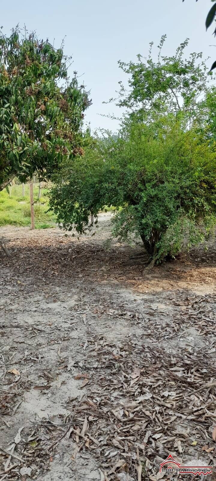 Chácara à venda com 2 quartos, 160m² - Foto 30