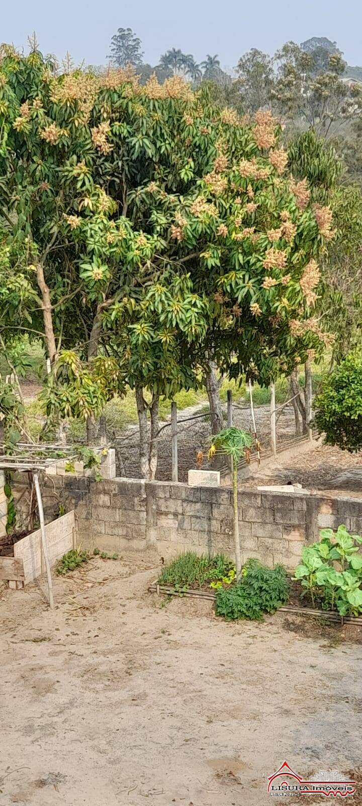 Chácara à venda com 2 quartos, 160m² - Foto 29