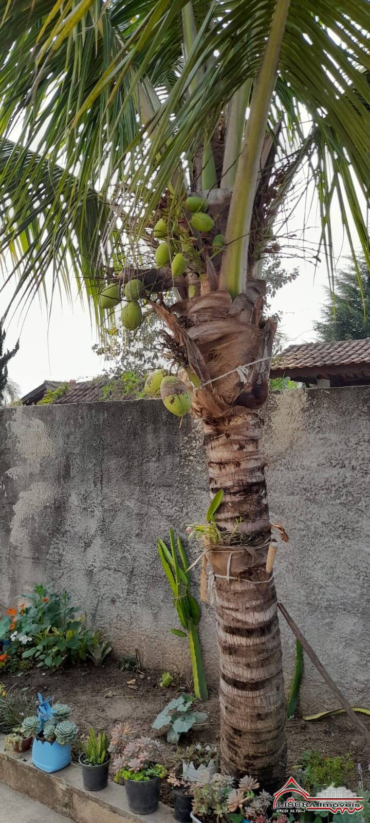 Chácara à venda com 2 quartos, 160m² - Foto 39