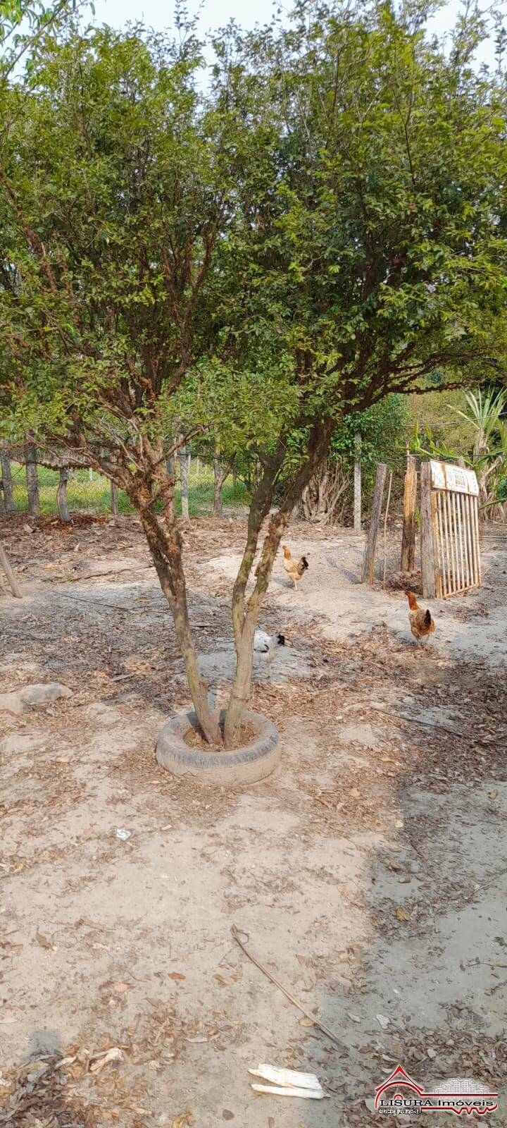 Chácara à venda com 2 quartos, 160m² - Foto 37
