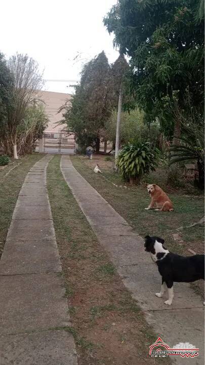 Sítio à venda com 3 quartos, 137m² - Foto 2