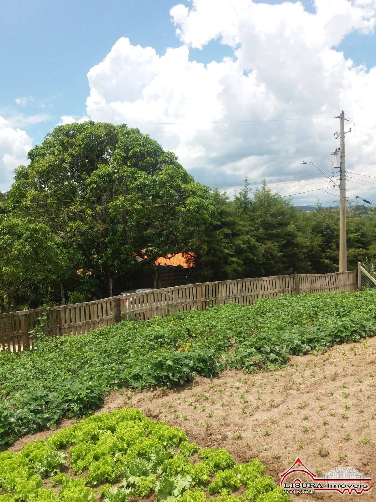 Terreno, 500 m² - Foto 3