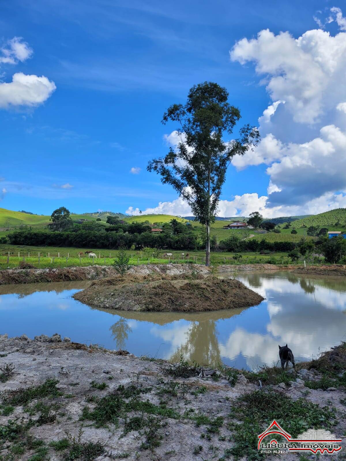 Terreno à venda - Foto 9