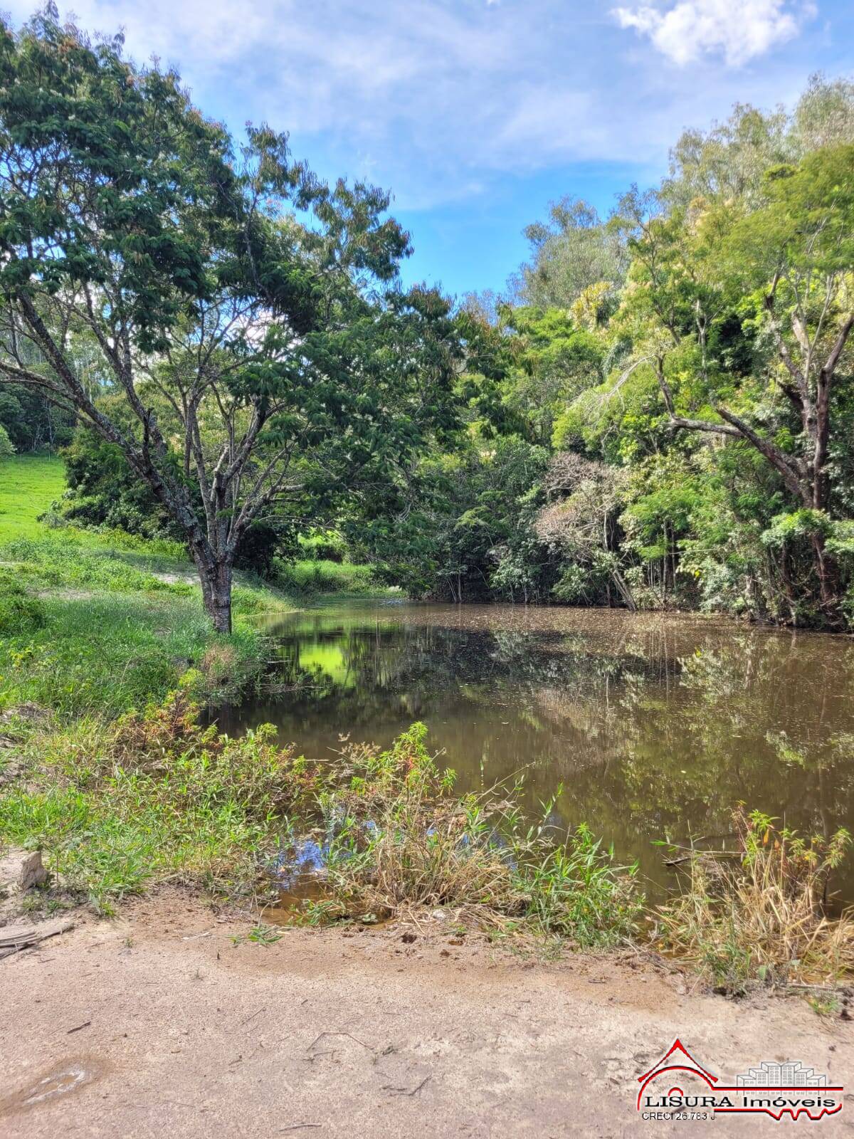 Terreno à venda - Foto 6
