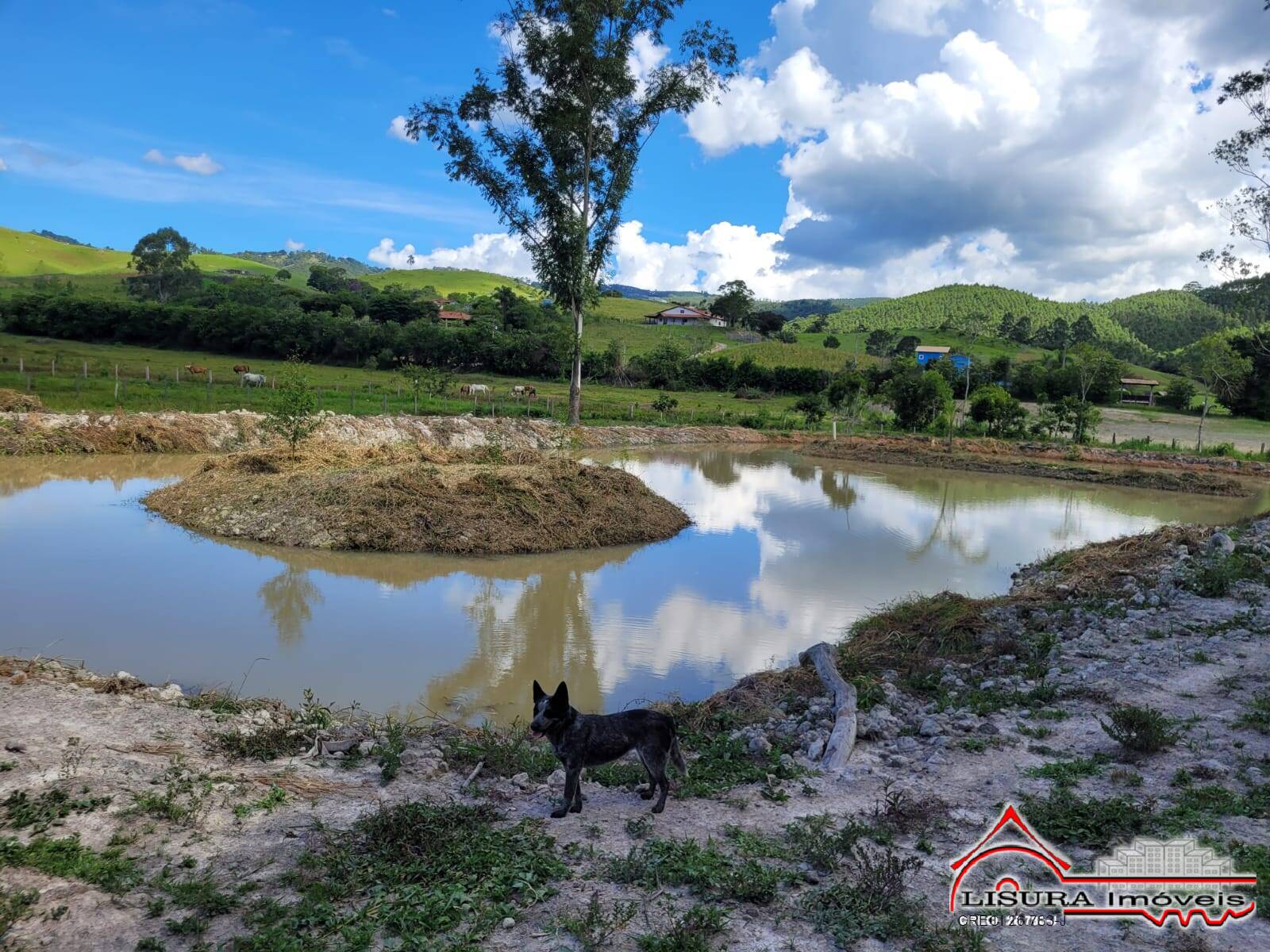 Terreno à venda - Foto 13