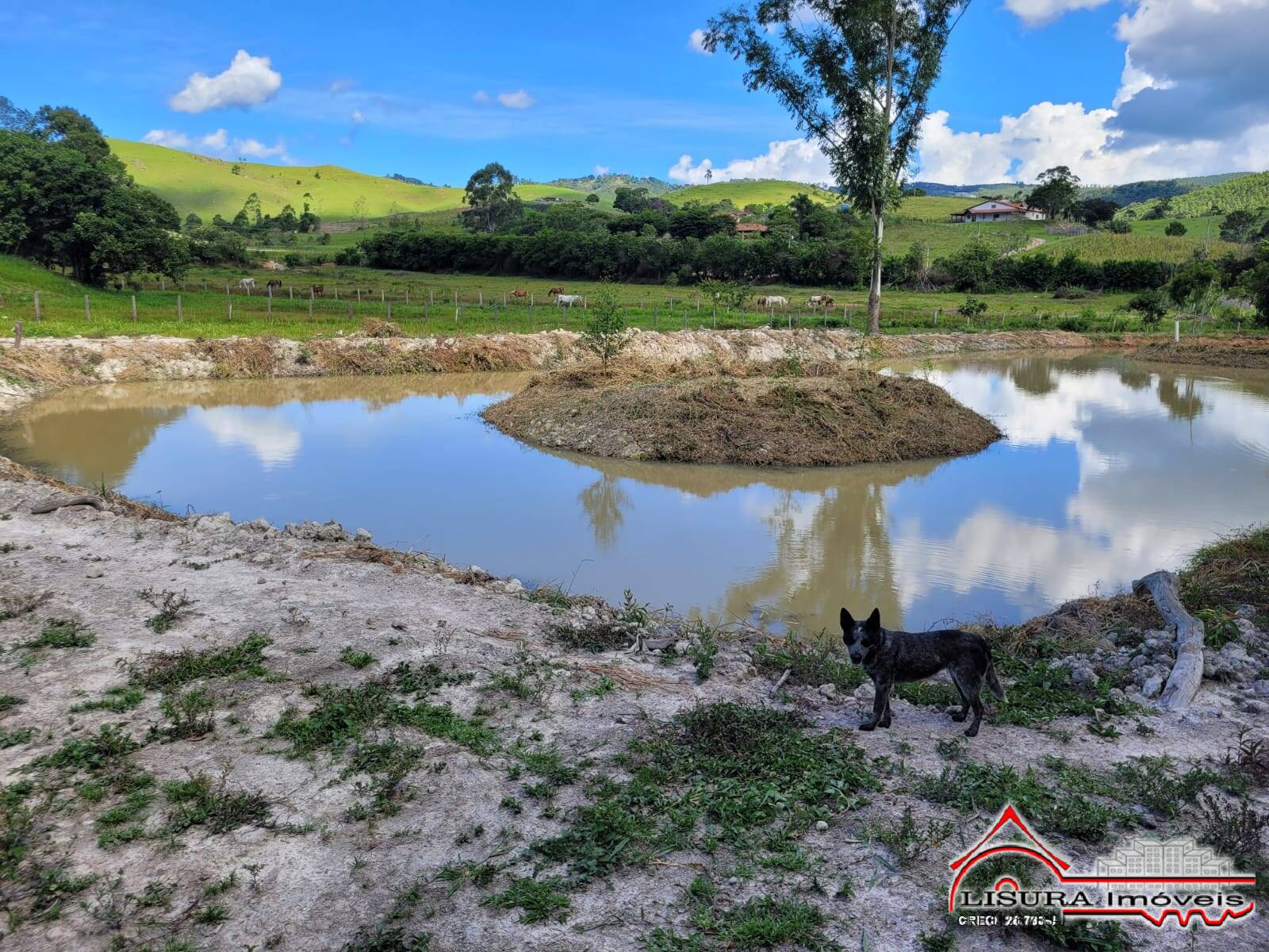 Terreno à venda - Foto 12