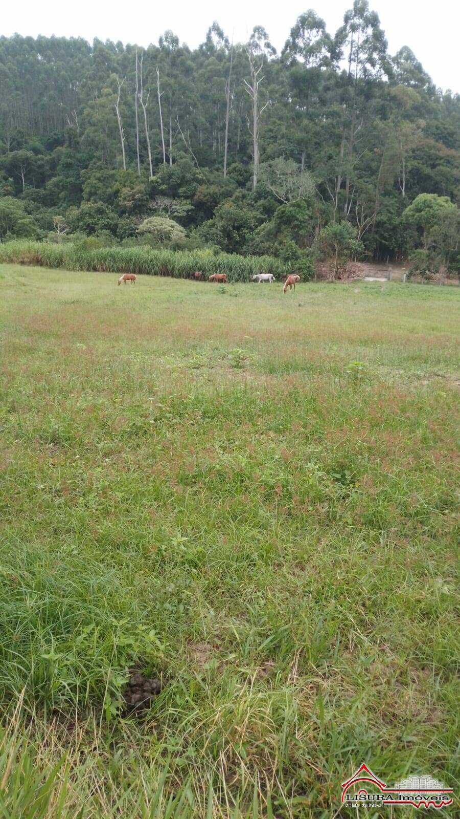 Terreno à venda - Foto 2