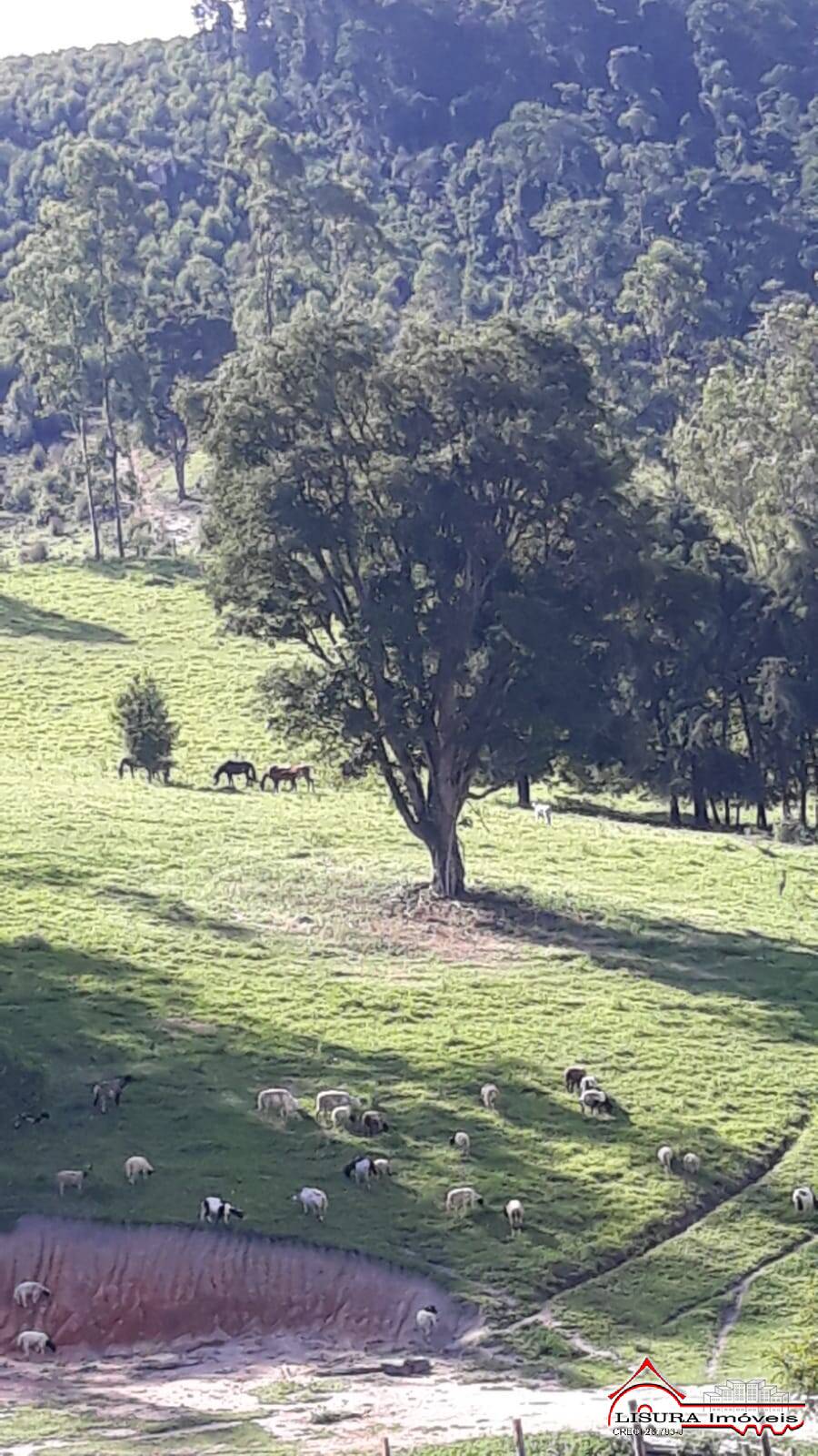 Terreno à venda - Foto 19